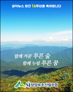 양양속초 산림조합
